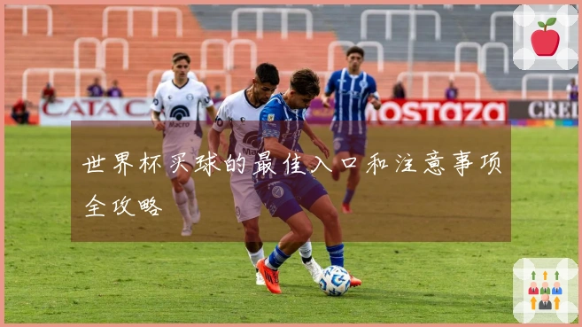 世界杯买球的最佳入口和注意事项全攻略