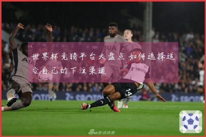 世界杯竞猜平台大盘点 如何选择适合自己的下注渠道