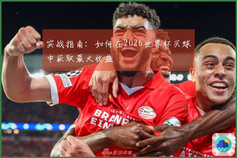 实战指南：如何在2026世界杯买球中获取最大收益
