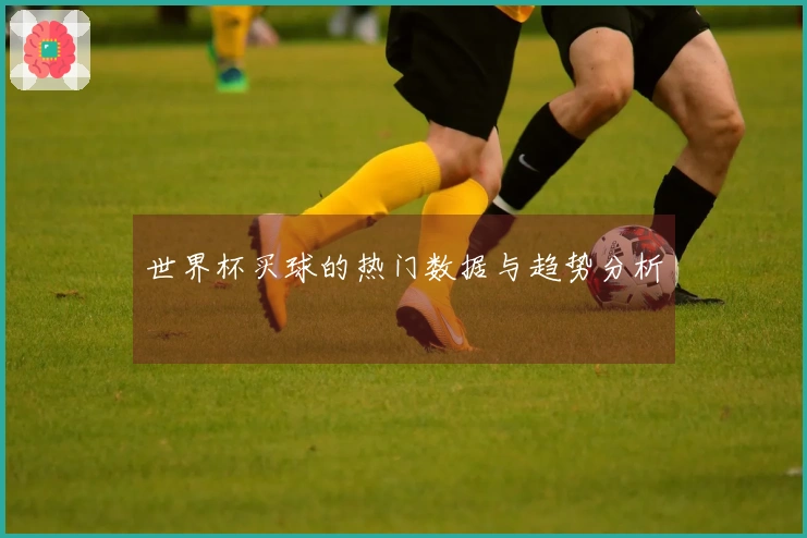 世界杯买球的热门数据与趋势分析