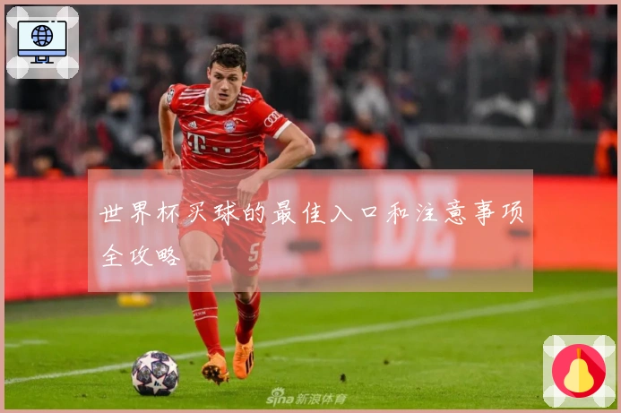 世界杯买球的最佳入口和注意事项全攻略